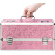Кейс для зберігання секс-іграшок BMS Factory - Large Lokable Vibrator Case Pink-3