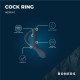 Ерекційне кільце Boners Cock ring-9