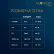 Комплект: боді та панчохи Moonlight Model 06 Black, довгі рукави, малюнок у вигляді ліфа, силуетний-3