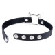Чокер Master Series Kinky Kitty Ring Slim Choker - Black-1