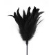 Лоскітка чорна Art of Sex - Feather Paddle, перо молодого півня-1