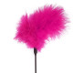 Лоскітка темно-рожева Art of Sex - Feather Paddle, перо молодого індика-1