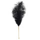 Лоскітка LOCKINK SEVANDA Natural Peacock Flirting Feather Tickler, перо павича-2