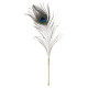 Лоскітка LOCKINK SEVANDA Natural Peacock Flirting Feather Tickler, перо павича-1