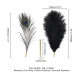 Лоскітка LOCKINK SEVANDA Natural Peacock Flirting Feather Tickler, перо павича-4