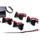 Набір для BDSM Master Series Bow - Luxury BDSM Set With Travel Bag-3