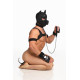 Набір BDSM цуценя Master Series Luxury Pup Arsenal Set - Black-13