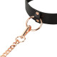 Нашийник з повідцем Rosy Gold - Collar with Leash - Black-5