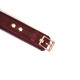 Нашийник з повідцем Liebe Seele Wine Red Curved Collar-8