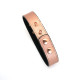 Нашийник із затискачами для сосків Liebe Seele Rose Gold Memory Collar with Nipple Clamps-10