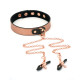 Нашийник із затискачами для сосків Liebe Seele Rose Gold Memory Collar with Nipple Clamps-7
