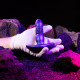 Анальна пробка з вібрацією та пульсацією Hueman - Supernova Thrusting Buttplug-9
