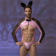 Еротичний костюм зайчика JSY 2312 One Size-4