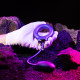 Ерекційне віброкільце з віброяйцем Hueman - Eclipse Anal Vibrator-9